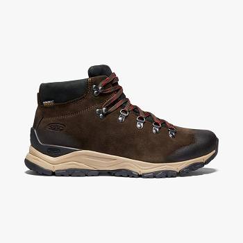 KEEN Férfi Feldberg APX Waterproof Túrabakancs Barna